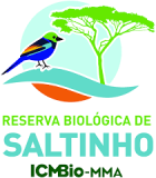 Logo Saltinho